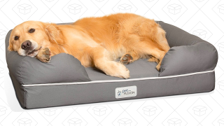 Buy Your Very Good Boy This Highly-Rated Memory Foam Dog Bed